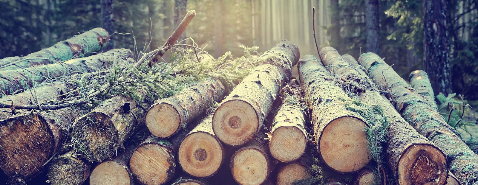 Heizungsmodernisierung